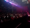 cyhi-da-prynce-air-jordan-vii-bordeaux-07