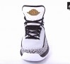 air-jordan-2.0-cool-grey-cement-11