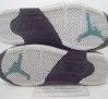 sky-jordan-v-grape-07