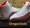 dwyane-wade-air-jordan-xii-pe-03
