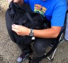jordan-protect-ya-neck-backpack-02
