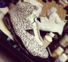 air-jordan-vi-cement-custom-by-el-cappy-5