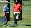 004-michael-jordan-air-jordan-3-golf