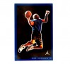 air-jordan-11-low-snakeskin-04