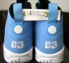 air-jordan-ix-pantone-ebay-6