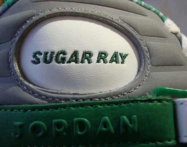 ray allen pe jordan 8
