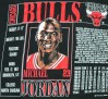 vintage-gear-michael-jordan-bulls-nutmeg-mills-t-shirt-07