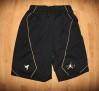 air-jordan-vii-retro-shorts-golden-moment