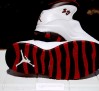 air-jordan-x-chicago-23-embroidered-sample-04