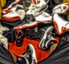 nate-robinson-air-jordan-collection
