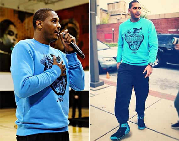 carmelo jordan 5.5