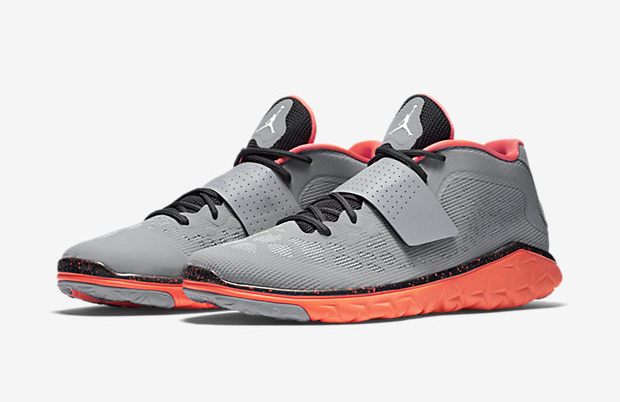 flight flex trainer 2