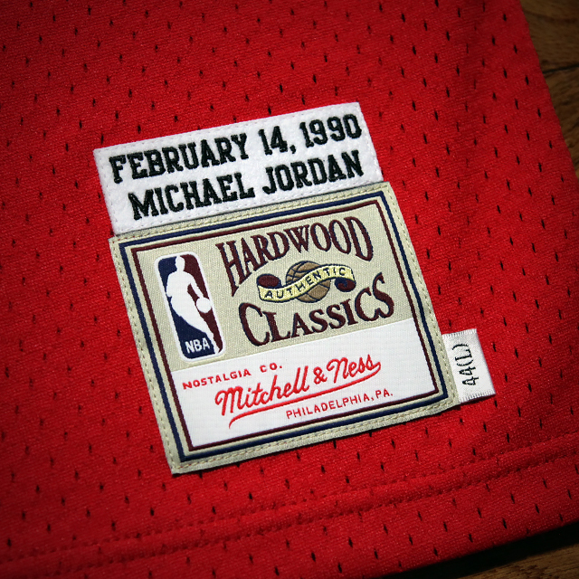 jordan 12 jersey
