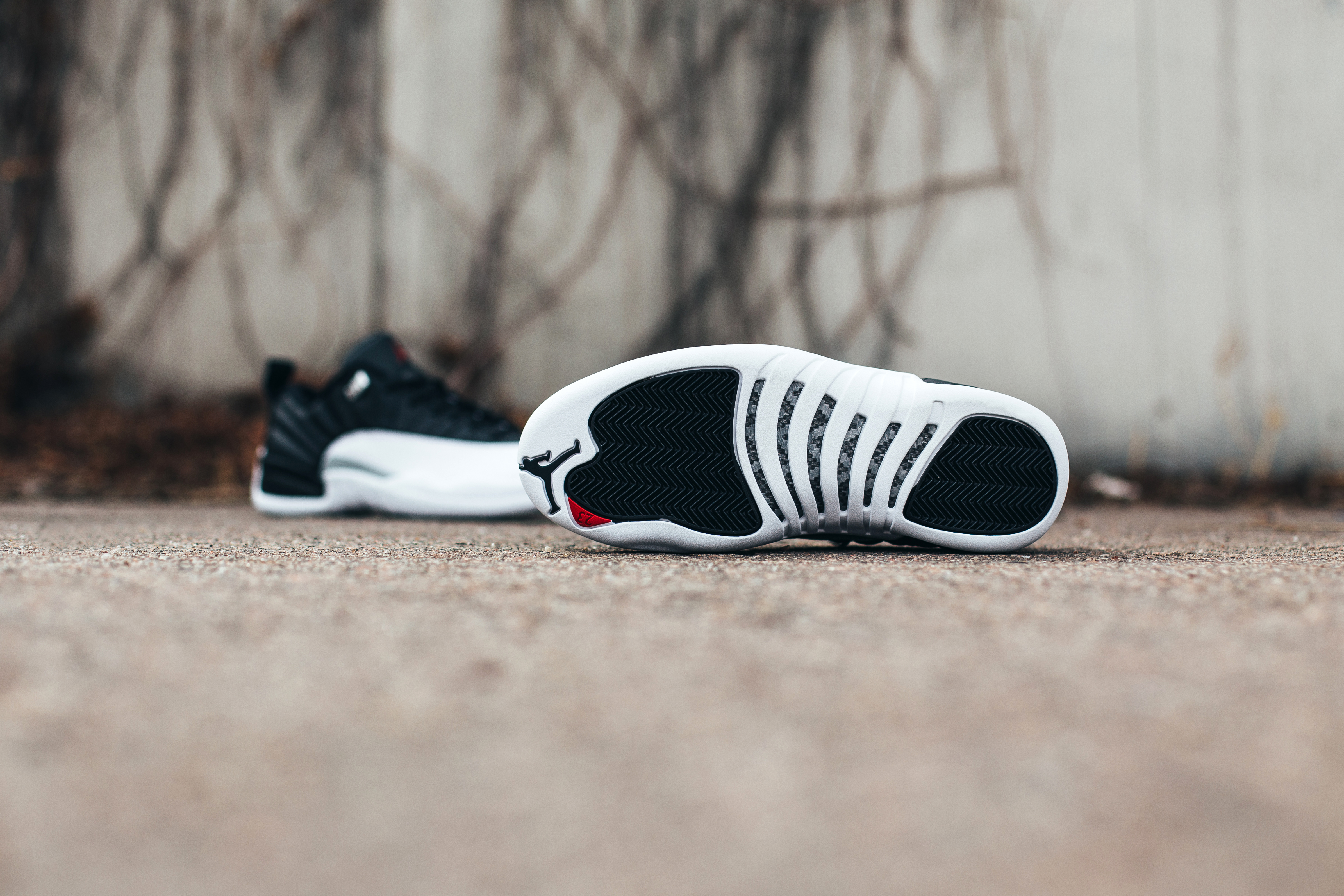 low top jordan 12